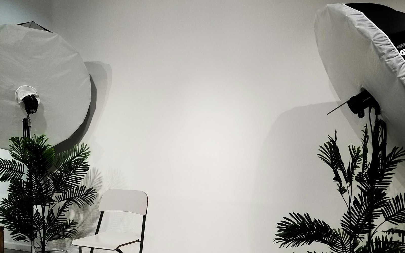 Example of a white infinity wall with studio lights